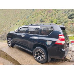 PRADO MODELO 2020