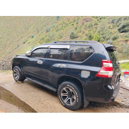 PRADO MODELO 2020