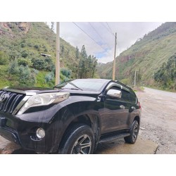 PRADO MODELO 2020