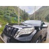 PRADO MODELO 2020