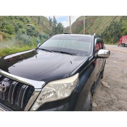 PRADO MODELO 2020