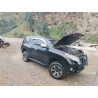 PRADO MODELO 2020
