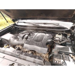 PRADO MODELO 2020
