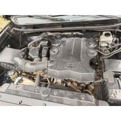 PRADO MODELO 2020