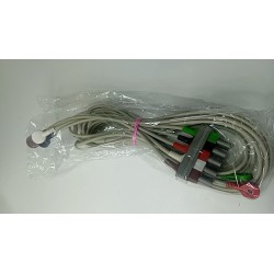 TERMINAL EKG(ELECTROCARDIOGRAFO)